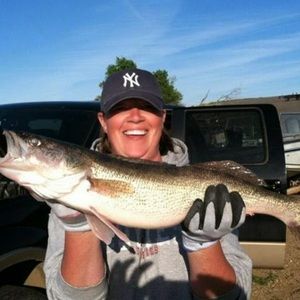 Meet your Posher, Nicki